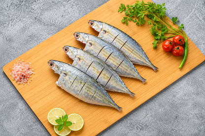 Mackerel/Bangda