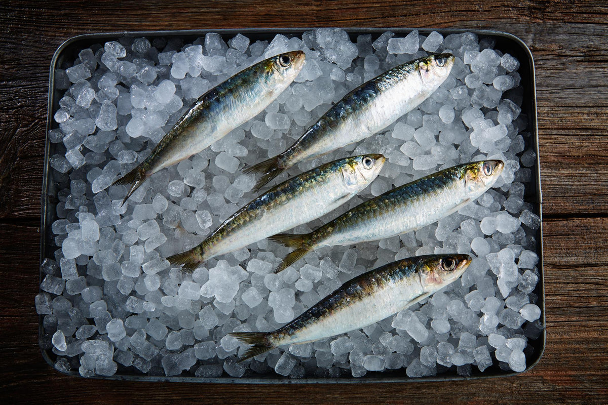 Sardine / Mathi / Tarle