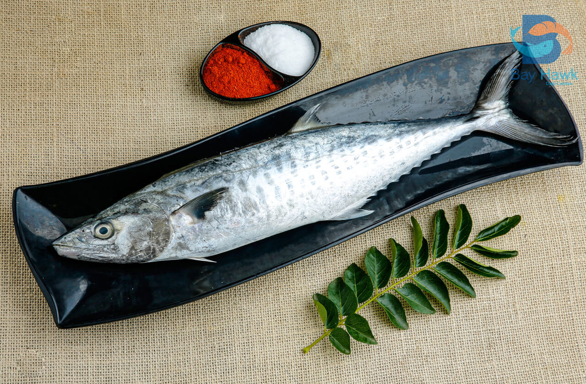 Seer Fish / King Fish / Surmai / Vanjaram / ಅಂಜಲ್ - Big