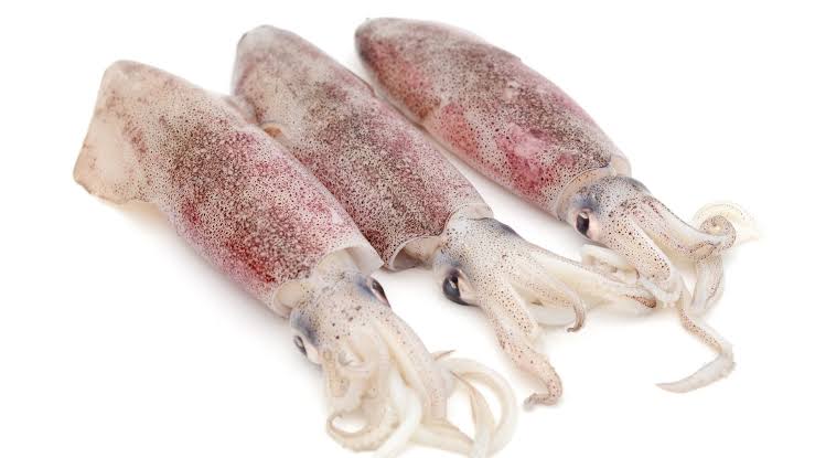 Squid /  ಬೊಂಡಾಸ್ (Small)